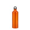 Aluminum Bottle with Carabiner - Image 5